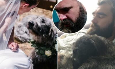 Critics Slam Jason Kelce for Mourning the Loss of His Dog, Advising Him to "Focus on More Important Matters".