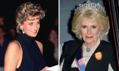 Queen Camilla Under Fire for Removing Princess Diana's Pictures from the Royal House