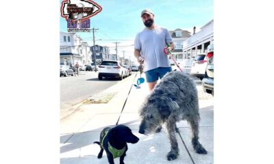 Jason Kelce Spotted In Sea Isle City While Out Walking with His massive Irish Wolfhound🐺