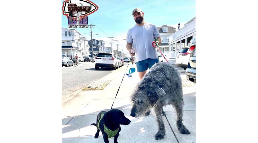Jason Kelce Spotted In Sea Isle City While Out Walking with His massive Irish Wolfhound🐺