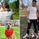 Dog trainer to the stars Tom Davis reveals the scouting report on Patrick and Brittany Mahomes pooches Silver and Steel