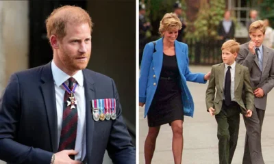 Prince Harry honours Princess Diana’s memory with big sacrifice