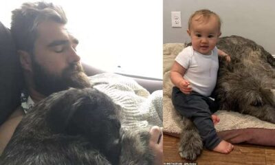 Jason and Kylie kelce revealed Bennette reaction on the loss of family dog, She feels it the most…she cried and refused to eat…..