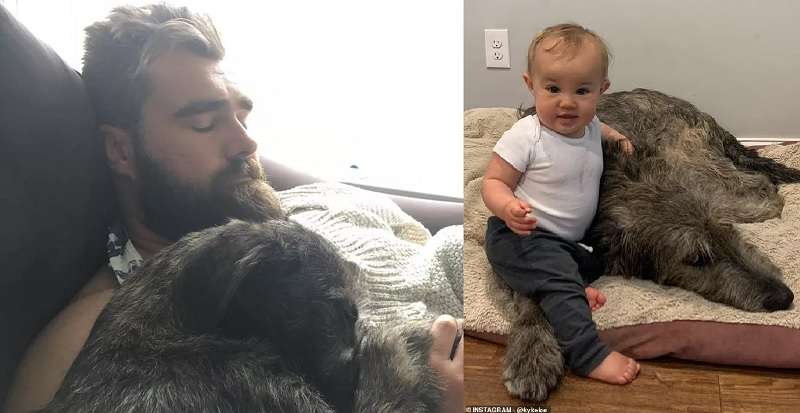 Jason and Kylie kelce revealed Bennette reaction on the loss of family dog, She feels it the most…she cried and refused to eat…..