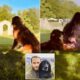 Kate Middleton's brother James shares a rare photo of his son Inigo with the family dogs - as he thanks his late pup Ella for giving him a family