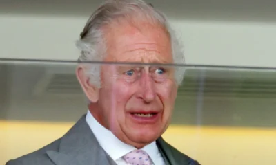 BREAKING!!!Royal Drama as King Charles Begs for a Chance to Meet Grandchildren Archie and Lilibet