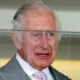 BREAKING!!!Royal Drama as King Charles Begs for a Chance to Meet Grandchildren Archie and Lilibet