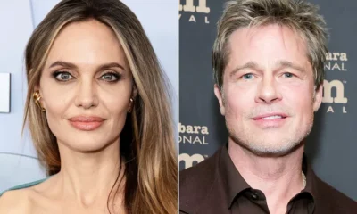 Angelina Jolie Asks That Brad Pitt 'End the Fighting' by Dropping His Winery Lawsuit Against Her