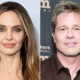 Angelina Jolie Asks That Brad Pitt 'End the Fighting' by Dropping His Winery Lawsuit Against Her