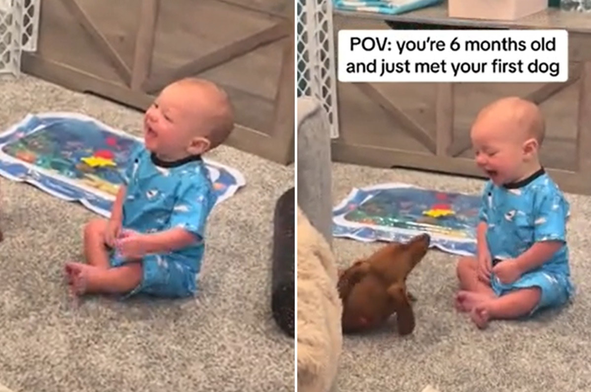 Baby Has the Best Reaction to Seeing a Dog for First Time—'Magical Moments'